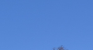 Основний вид діяльності ПАТ "Чернігівгаз" - розподіл природного газу